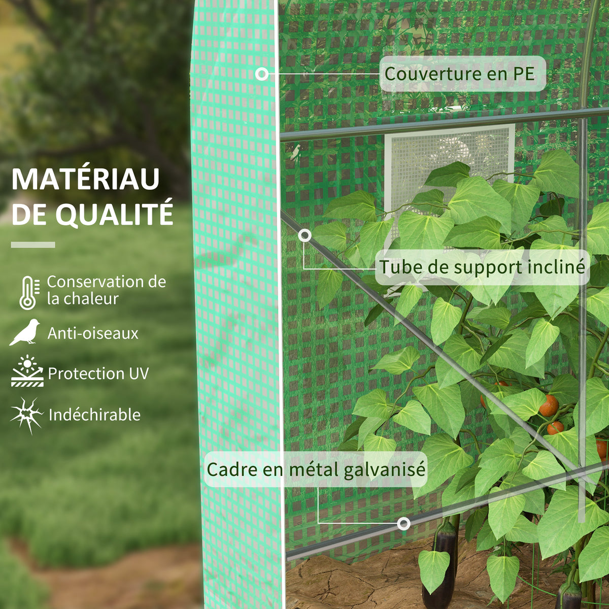Serre de Jardin Tunnel Surface Sol 8 m² 4L x 2l x 2,05H m châssis Tubulaire Porte zippée 6 fenêtres enroulables vert