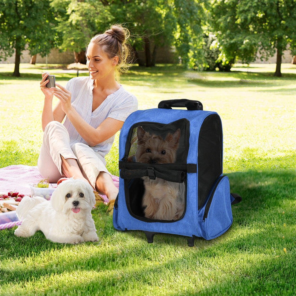 Sac de transport à roulettes pour chien 2 en 1 trolley chariot sac à dos pour chien chat avec poignée téléscopique, sacs de rangement, aérations, attache de sécurité, 42 x 25 x 55 cm, bleu